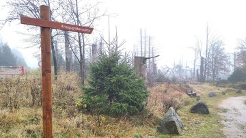 Links im Bild ein Pfahl mit einem hölzernen Schild auf dem „Kriegsgräberstätte“ steht. Rechts ein Weg. Im Hintergrund Baumstümpfe.